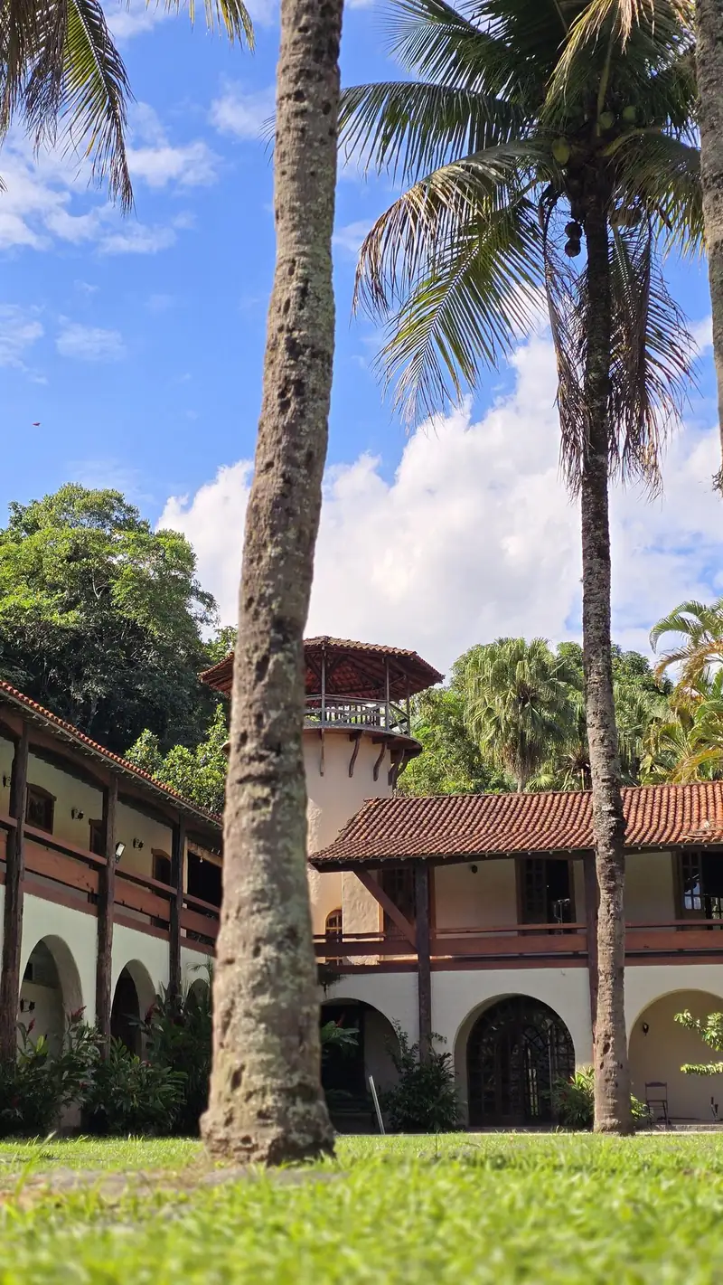 Casarão colonial do Vale dos Coqueirais entre palmeiras